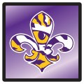 Lsu Hitch Cover 