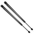 Lift Supports Struts Ford For Expedition 2003-2006 