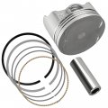 Caltric Engine Cylinder Piston And Ring Set Compatible With Kawasaki 13008-1198 13001-1574
