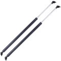 Liftgate Lift Supports Struts For Chrysler Town And Country 2001 2007 Dodge Caravan Grand To 25 85 In Set Of 2 Oe 4535 