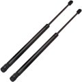 Liftgate And Window Glass 4188 6204 Pm2041 Sg329013 Sg329015 Sg329016 Sg329022 Lift Supports Struts Fit For Toyota Matrix 