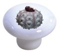 Set Of 2 Sea Urchin Seashell Ceramic Cabinet Drawer Knobs 
