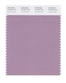 Pantone Smart 16-3307x Color Swatch Card Lavender Mist 