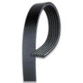 V Ribbed Serpentine Belt For Chevy Astro 1996 2005 6 Rib Gold Classification 2426 Mm Effective Length 2440 Outside 