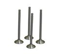 2159-4 Exhaust Valve Set For Chevrolet Cavalier 0ll Ohv Fits 1987 To 1991 Pontiac Corsica Tempest 2 2 2l L4 859-4 Exhaust Valve 