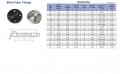 1 2 316lss 150 Rf Blind Flange