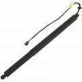 Automotive Replacement Shock Lift Supports Fit For Land Rover Range Evoque 2020-2021