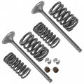 Caltric 2x Intake Valve Kit Compatible With Honda Sportrax 300 Trx300ex 2x4 1993 1994 1995 1996 1997 1998-2008