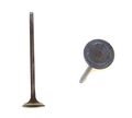 Dnj Engine Components Iv238 Intake Valve 