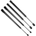 Hood And Window Glass Lift Supports Strut Set Of 4 For Ford Explorer 2006 To 2010 Fits Eddie Bauer Limited Xls Xlt Models 