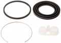 143 44051 Caliper Kit For Rear Brake Disc Vehicle Specific Fit Painted Finish 