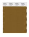 Pantone Smart 18-0840x Color Swatch Card Tapenade 