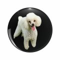 Little Whitey Poodle Double Sided Stainless Steel Keychain 3d Resin Encased Round Design For Keys And Backpacks 1 25 In Multi 