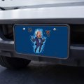 Graphics More Pixel Super Bernie Sanders With Birds And Fire Novelty Metal Vanity Tag License Plate
