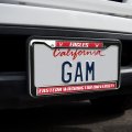 Eastern Washington Eagles Logo Full Size Standard License Plate Metal Frame