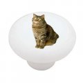 Gotham Decor Tabby Tom Cat Ceramic Drawer Knob 