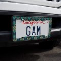Aquaman Movie Logo Trident Pattern License Plate Tag Frame