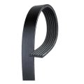 Serpentine Belt For Freightliner Classic Century Class 2004 Part Number Olx-acd6k439-cl360a65 Front Fan Replacement 