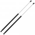 Ocpty Lift Supports Gas Springs Struts Shocks 6875 95095593 95095594 Strut Fits For Buick Encore 1 4l 2013-2017