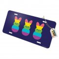 Graphics More Rainbow Striped Bunny Peep Novelty Metal Vanity Tag License Plate
