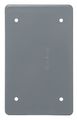 Carlon Lamson Sessons E980cn-car Single Gang Blank Box Cover 