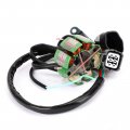 Topteng Magneto Generator Engine Stator Coil Fits For Kawasaki Kx250f 4t 2004-2010 Suzuki Rmz Rm-z 250 K5 K6 2005-2006