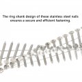 Gxywady 3600pcs 1-1 4 X 0 09 Inch Coil Roofing Ring Shank Siding Nails 15 Degreeed 304 Stainless Steel Wall Small Cap Coil