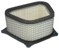 Hiflofiltro Hfa3907 Premium Oe Replacement Air Filter 