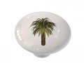 Gotham Decor Egyptian Palm Tree Ceramic Drawer Knob 