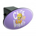 Looney Tunes Tweety Cute Or What Oval Tow Trailer Hitch Cover Plug Insert