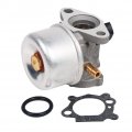 Hifrom Replace New Carburetor Carb Replacement For 799872 790821