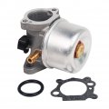 Hifrom Replace New Carburetor Carb Replacement For 799872 790821
