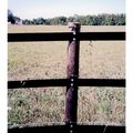 Batten Tape Fence Strapping 2 In Wide X 300 Ft Long Black
