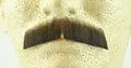 Gentleman Moustache Medium Brown 100 Human Hair No 2011 Realistic Perfect For Theater Reusable 