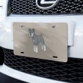 Graphics More Miniature Schnauzer Dog Novelty Metal Vanity Tag License Plate 