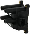 Denso 673-6009 Ignition Coil 