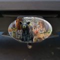 Redwoods National And State Parks California Ca Animals Bear Deer Cougar Bobcat Oval Tow Trailer Hitch Cover Plug Insert