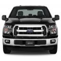 Ipick Image Ford F-150 2015 To 2018 3d Logo Genuine Real Black Carbon Fiber License Plate