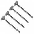 Caltric Intake And Exhaust Valve Compatible With Honda Trx300ex Sportrax 1993-2008 Trx300x 2009