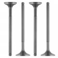 Caltric Intake And Exhaust Valve Compatible With Honda Trx300ex Sportrax 1993-2008 Trx300x 2009