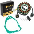 Caltric Stator And Gasket Compatible With Suzuki Dr-z250 Drz250 2001 2002 2003 2004 2005 2006 2007