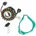 Caltric Stator And Gasket Compatible With Suzuki Dr-z250 Drz250 2001 2002 2003 2004 2005 2006 2007