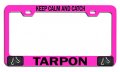 Keep Calm And Catch Tarpon Fishing Pink Metal License Plate Frame Tag Holder N81 