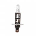 Anyray A1911a H1 24v 100w Halogen Automotive Light Bulb 100 Watt P14 5s Base Long Life 