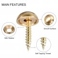 Uxcell 8pcs Decorative Screws With Caps 15mm Dia Brass Mirror Fixing Fasteners For Mirrors Tables Furniture Gold