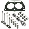 Caltric Camshaft And Cylinder Head Valve Gasket Kit Compatible With Polaris Rzr 800 Efi 2010