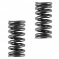Caltric 2x Intake Valve Spring Compatible With Honda Crf150r 2007 2008 2009 2012 2013 2014 2015-2022