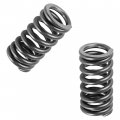 Caltric 2x Intake Valve Spring Compatible With Honda Crf150r 2007 2008 2009 2012 2013 2014 2015-2022