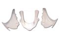 Yana Shiki Ufk-204-up Abs Plastic Replacement Upper Fairing 