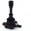 Cherish-auto 2pcs Oem 0221500803 123610120 Ignition Coil 